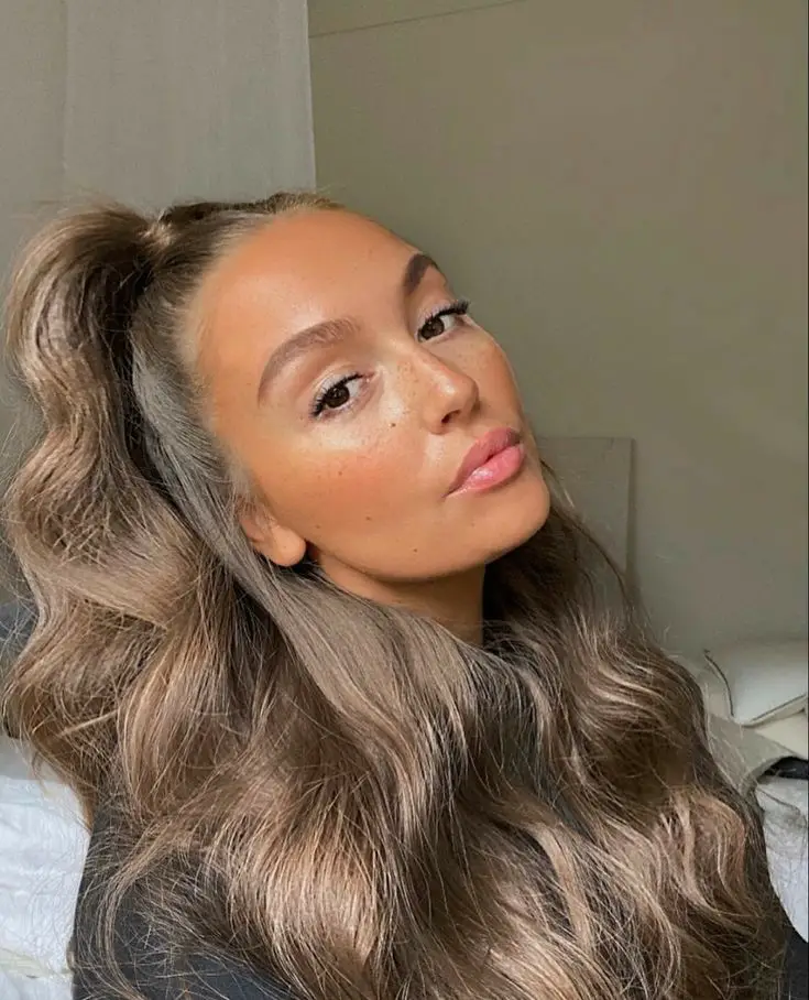 Icy Chestnut hair color