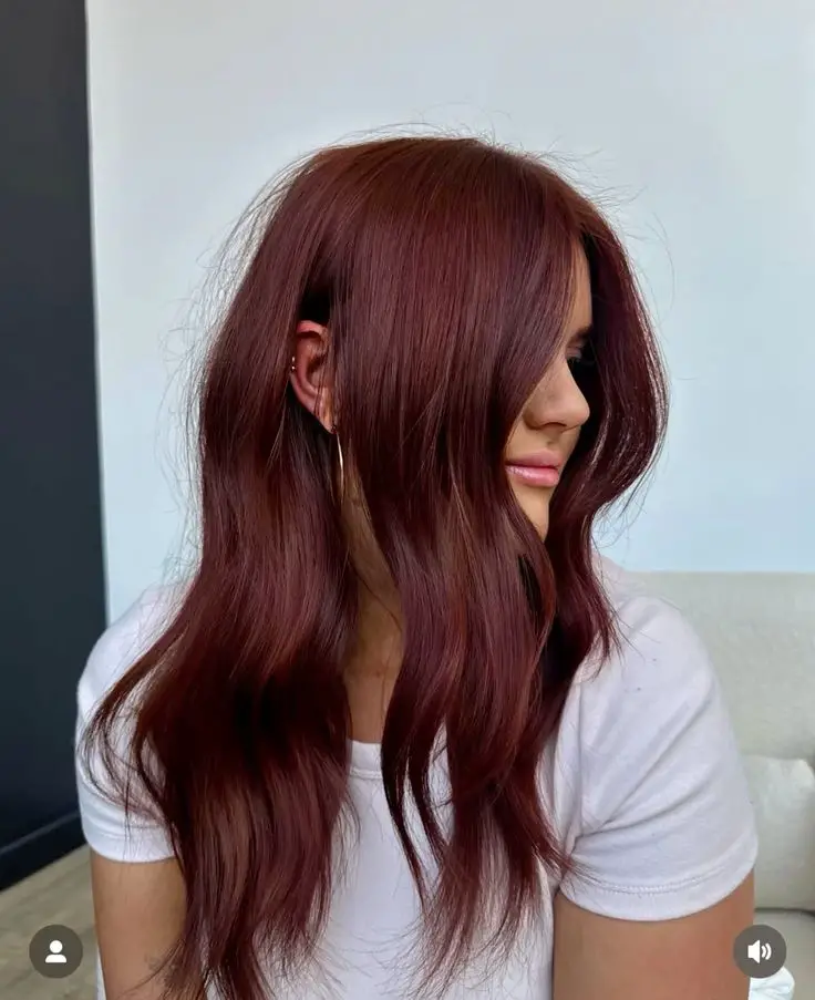 Rosewood Red hair color for autumn