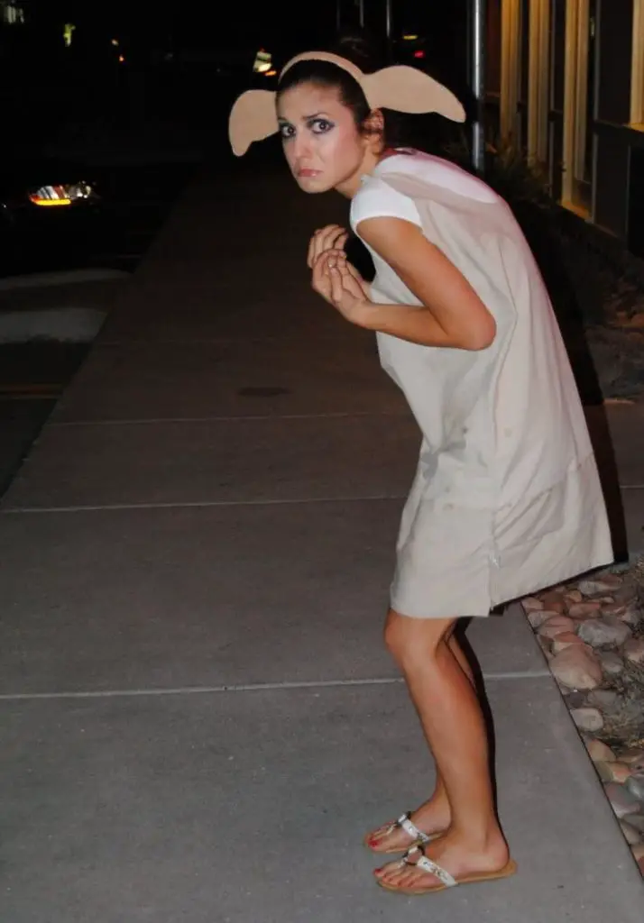 Master Gave Dobby Halloween Costume